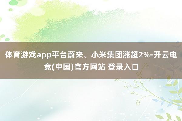 体育游戏app平台蔚来、小米集团涨超2%-开云电竞(中国)官方网站 登录入口