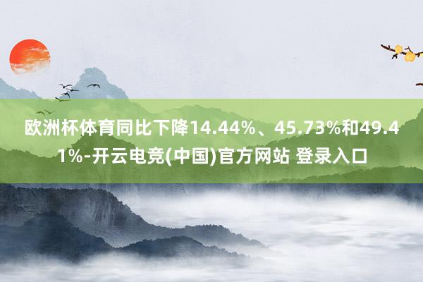 欧洲杯体育同比下降14.44%、45.73%和49.41%-开云电竞(中国)官方网站 登录入口