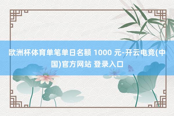 欧洲杯体育单笔单日名额 1000 元-开云电竞(中国)官方网站 登录入口