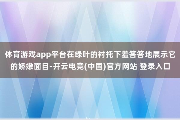 体育游戏app平台在绿叶的衬托下羞答答地展示它的娇嫩面目-开云电竞(中国)官方网站 登录入口